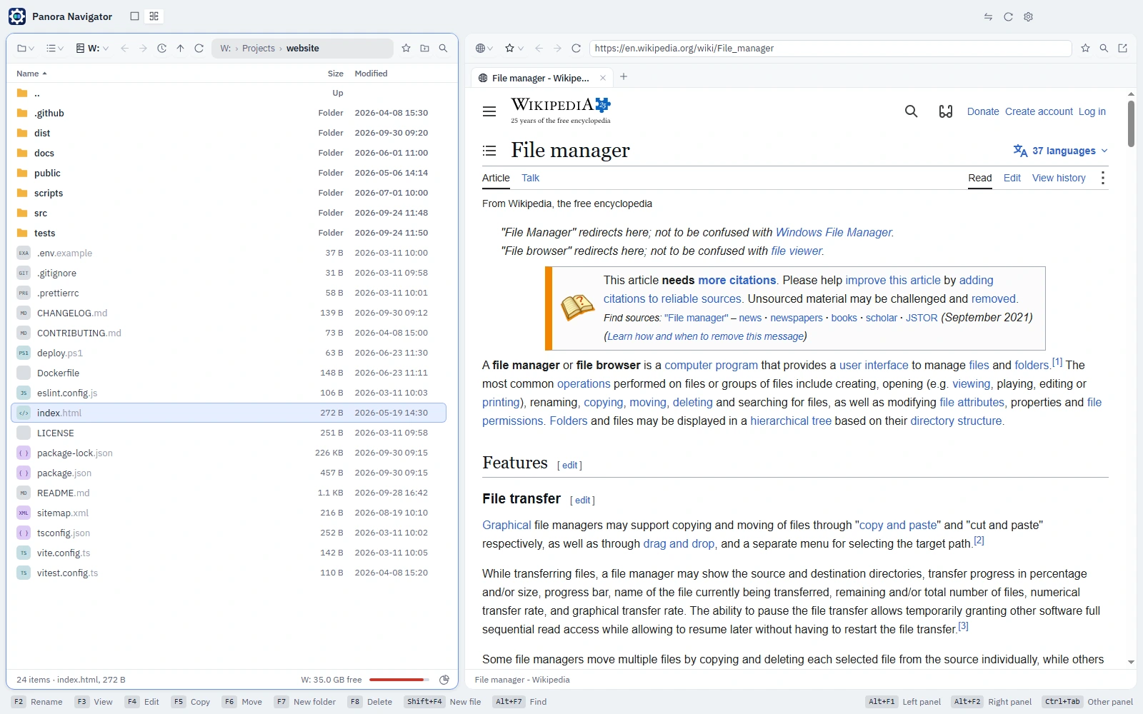A file list in the left panel and a web page in the right panel